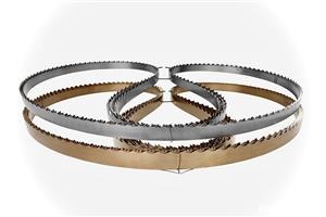 Panze panglica banzic GTP FLEX, fierastrau/gater debitare lemn