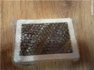   Ceas digital cu senzor de zgomot ,termometru, data, luna, zi, functie 12 24 h, NOU ! - imagine 4