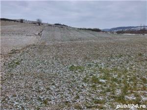 Teren 2900 mp Sighisoara loc Vanatori Mures - imagine 2