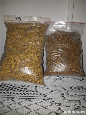 Polen uscat , poliflor și polen crud poliflor  - imagine 3