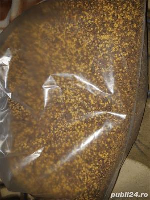 Polen uscat , poliflor și polen crud poliflor  - imagine 2