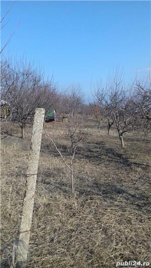 Teren intravilan, livada, pentru casa de locuit - imagine 4