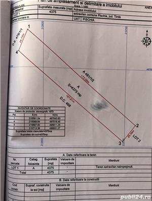 Vând teren extravilan la Pischia Timiș , la soseaua Pischia Murani - imagine 4