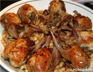 Vand oua,carne,pui de prepelita