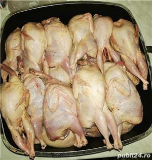 Vand oua,carne,pui de prepelita - imagine 3