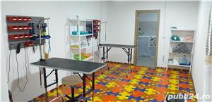 Salon canin tuns caini Timisoara