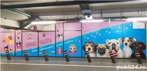 Salon canin tuns caini Timisoara - imagine 4