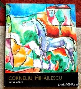 Corneliu Mihailescu, Petre Oprea, 1972