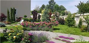 intretinere gradini gradinar  - imagine 2