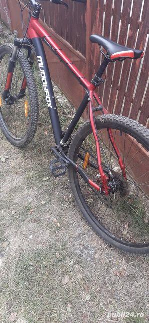 muddyfox colossus 300