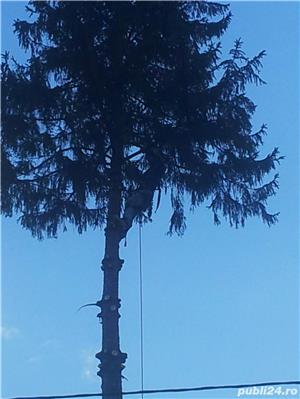 Alpinisti Utilitari Iasi - imagine 3