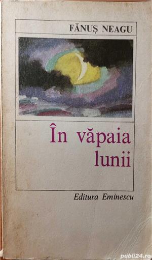 In vapaia lunii de Fanus Neagu