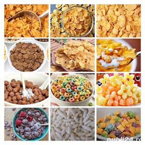 Cereale si Fulgi cereale vrac