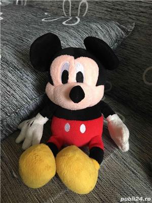 Mickey Mouse din plus