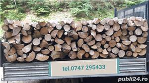 Vând lemn de foc !  - imagine 2