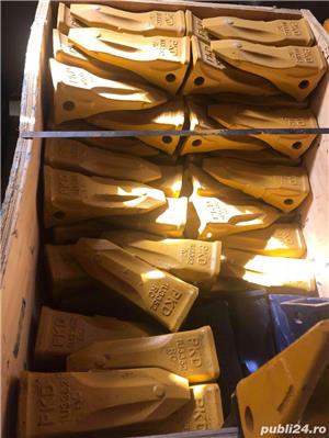 Dinti de cupa toate marimile