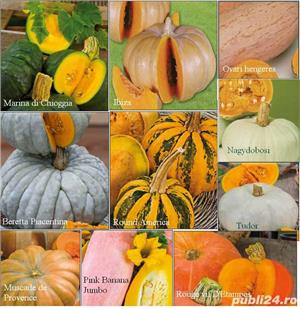 oferta: 10 seminte -10soiuri dovleci culori deosebite-pt. copt, fiert, prajit= 10lei