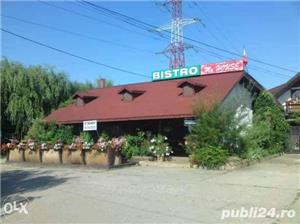 Restaurant ; Vilă ; Garaj auto ( multiple locuri) - imagine 4