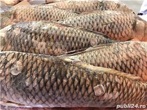 Crap salbatic pentru crochete animale