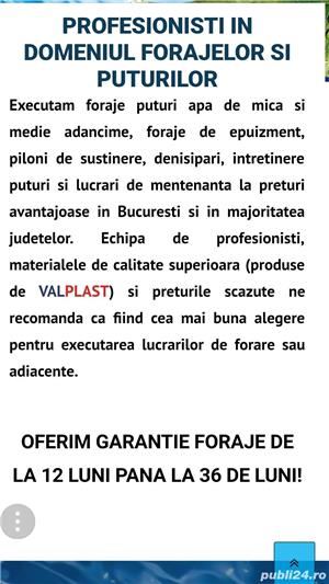 Executam puturi - imagine 5