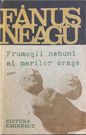 Frumosii nebuni ai marilor orase - Fanus Neagu