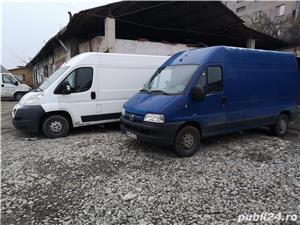 Transport rapid marfa