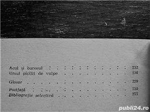 Povesti si povestiri, Ion Creanga- NOUA - imagine 5