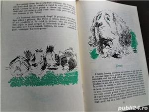 Povestiri  Cand stapanu nu-i acasa , E. Garleanu- NOUA- 5 povestiri - imagine 4