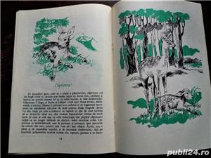 Povestiri  Cand stapanu nu-i acasa , E. Garleanu- NOUA- 5 povestiri - imagine 5