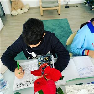 Meditatii engleza romana matematica - Clasele 0-VIII Online - imagine 3