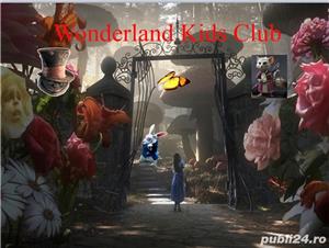 Meditatii engleza romana matematica - Clasele 0-VIII Online - imagine 2