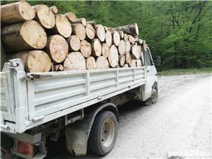 Lemne de foc esență tare  - imagine 3