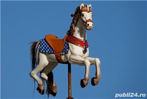 Caut sa cumpar caluti de lemn de caruselurile de la balciuri