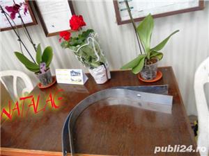 Table prese de balotat Krone  - imagine 2