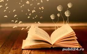 profesor de sprijin / meditator