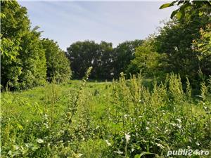  Vand casa + gradina + teren in Frumusani pe malul lacului, langa Buc. 100 000 euro - imagine 7