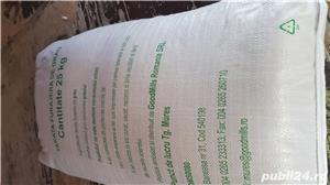 Tarata de grau sac 25 kg