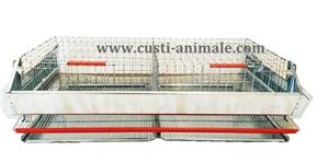 Cusca pentru prepelite ouatoare 50 pasari 90x50x25 cm - imagine 4