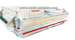 Cusca pentru prepelite ouatoare 50 pasari 90x50x25 cm - imagine 2