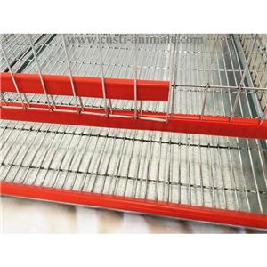 Cusca pentru prepelite ouatoare 50 pasari 90x50x25 cm - imagine 3