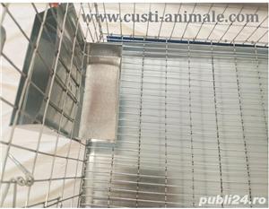 Custi iepuri crestere complet echipate Fabrica de custi bistrita - imagine 2 Custi iepuri crestere complet echipate Fabrica de custi bistrita - imagine 2