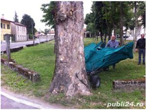 Utilaj recoltat cirese,visine,prune,alune,nuci,migdale-modelul motorizat - imagine 3