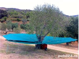 Utilaj recoltat cirese,visine,prune,alune,nuci,migdale-modelul motorizat - imagine 6