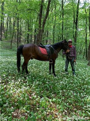 Echitatie/turism ecvestru Buzau