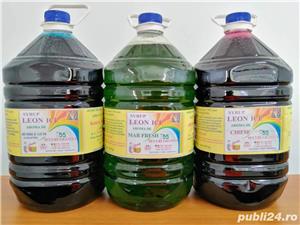 Sirop LEON ICE Granita