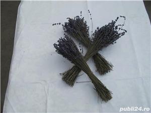 De vanzare produse de ,,LAVANDA" - imagine 5