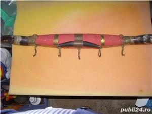 Cuier taranesc din zona Dobrogei