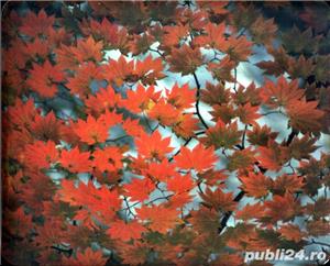 6 mousepads - imagine 3