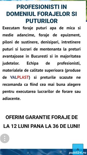 Executam puturi - imagine 2