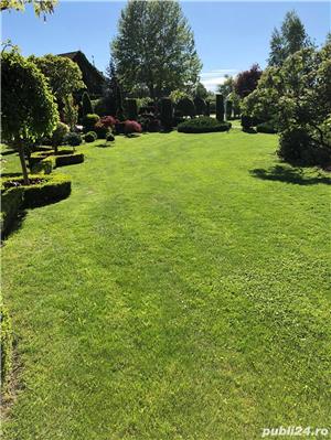 Primim un tînăr serios iubitor de cai. - imagine 2